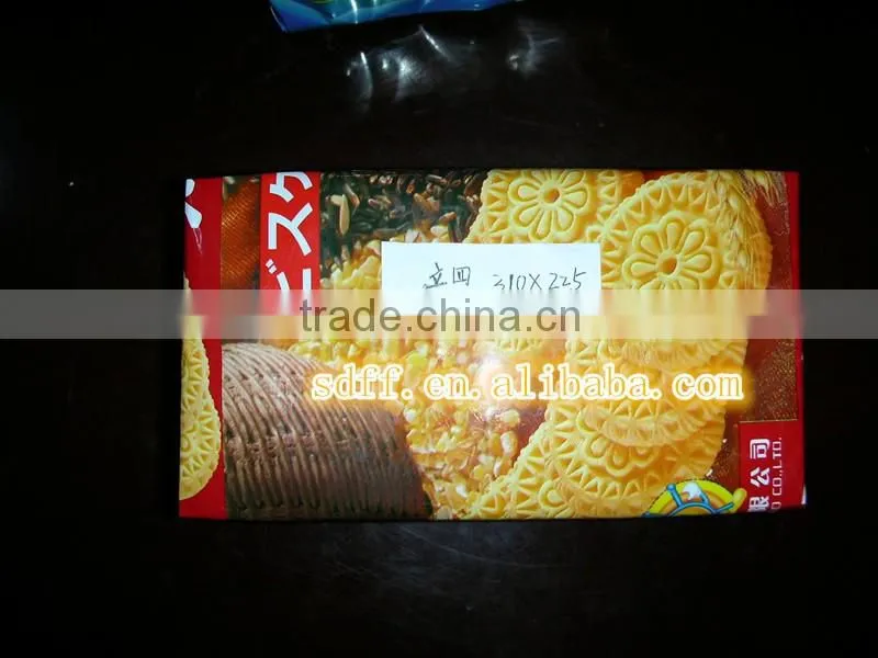 High speed envelope type packing machine