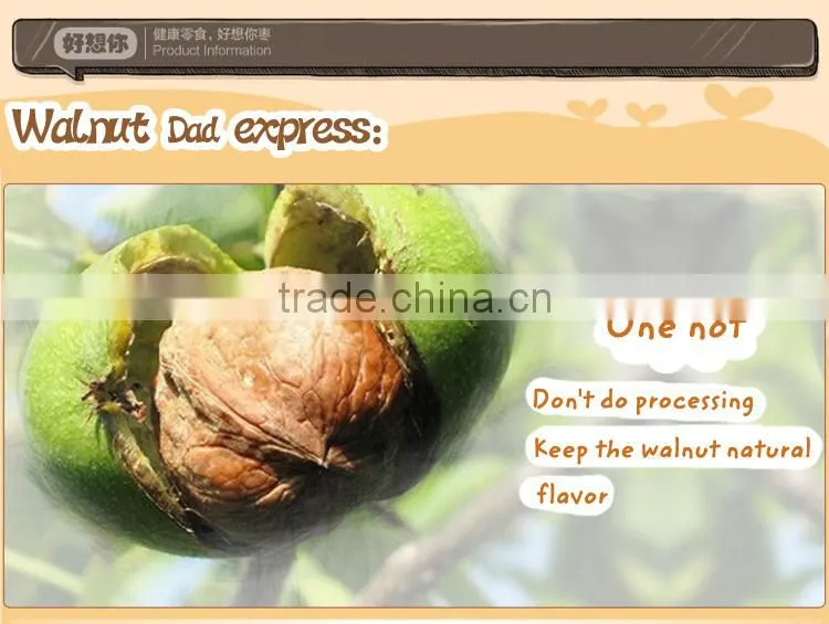 New crop dried fruit walnut