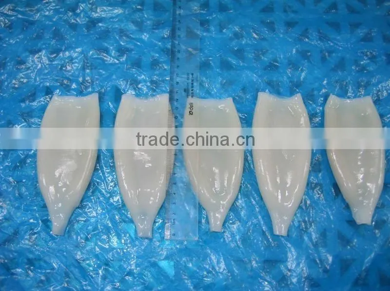 squid tube U5 Illex Argentinus tube and tentacles