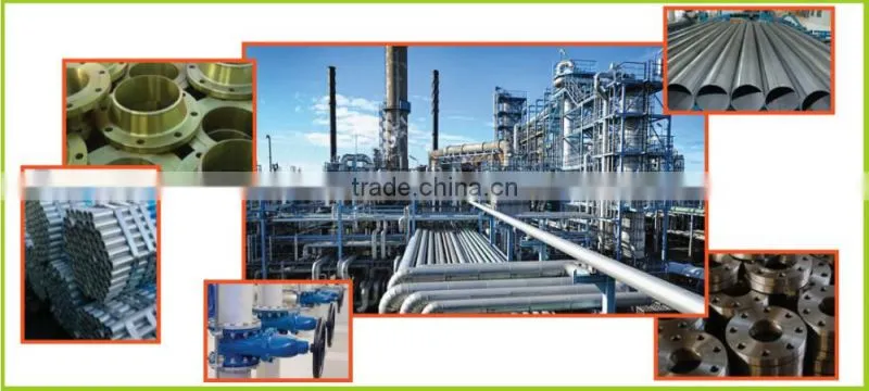 wholesale Y type double pressure safety valve for oil