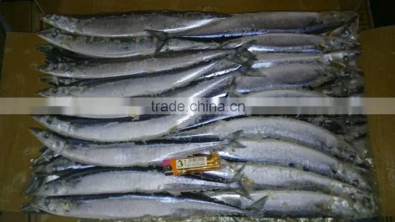 2014 new coming Frozen pacific saury from China