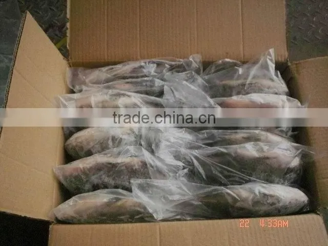 Low price China Export Frozen Whole Round Black Tilapia