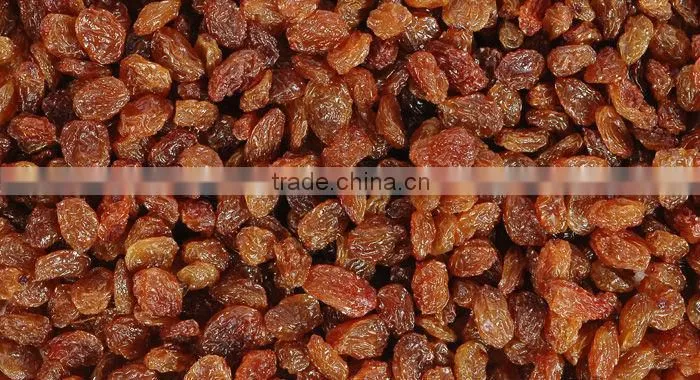 INDUSTRIAL RAISIN FOR VINEGAR & WINE