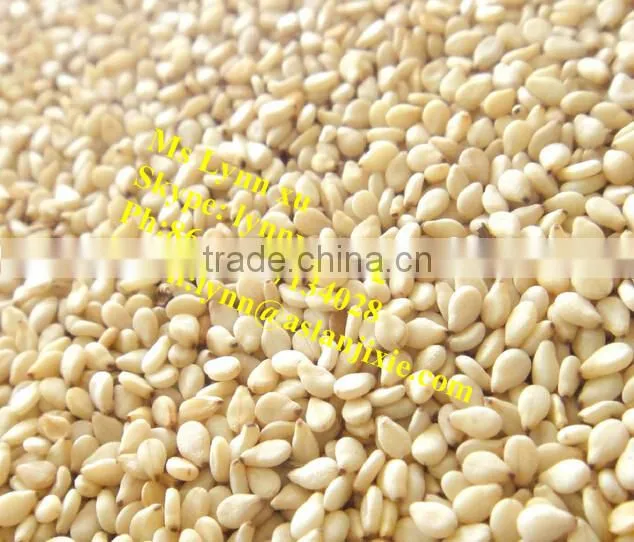 supermicro mill sesame paste making machine / sesame butter making machine