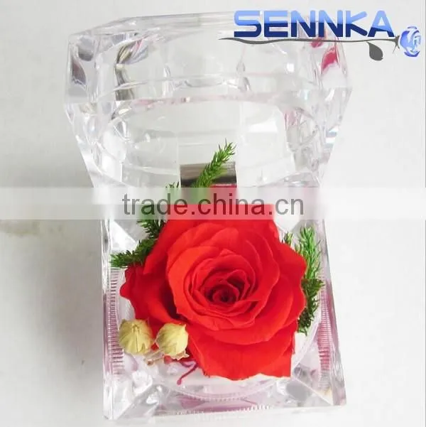 Natural preserved rose flower crafts with various colors