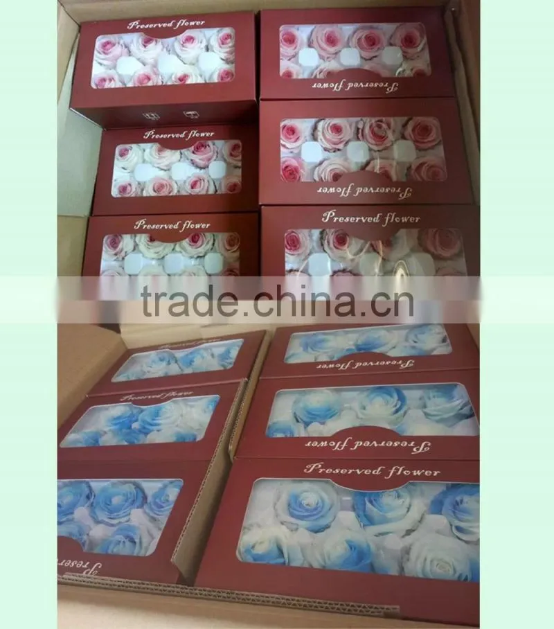 Natural preserved fresh rose wholesal flower Multi colored Preserved Roses