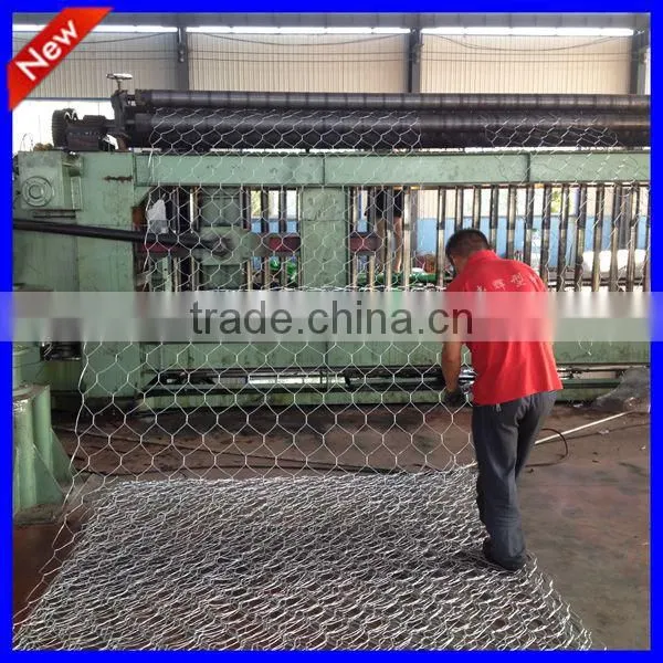 twist hexagonal wire mesh for cage /fence