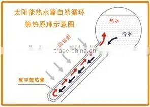 Solar Water Heater hot sales cheap price high quality Rooftop Solar Water Heater