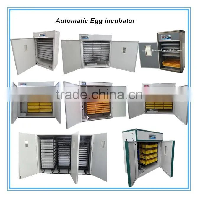 Animal & Poultry Husbandry Equipment quail cage design with water system
