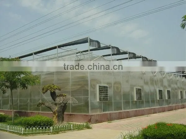 Fully Opened Roof PC Sheet Greenhouse