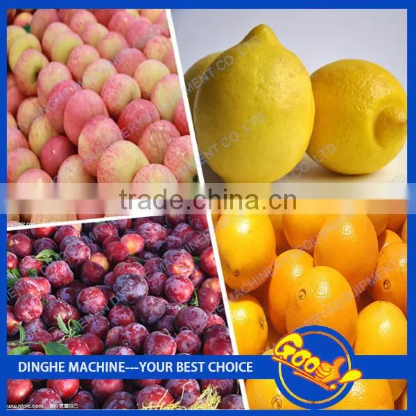 China manufacturer lotus root washing and peeling machine