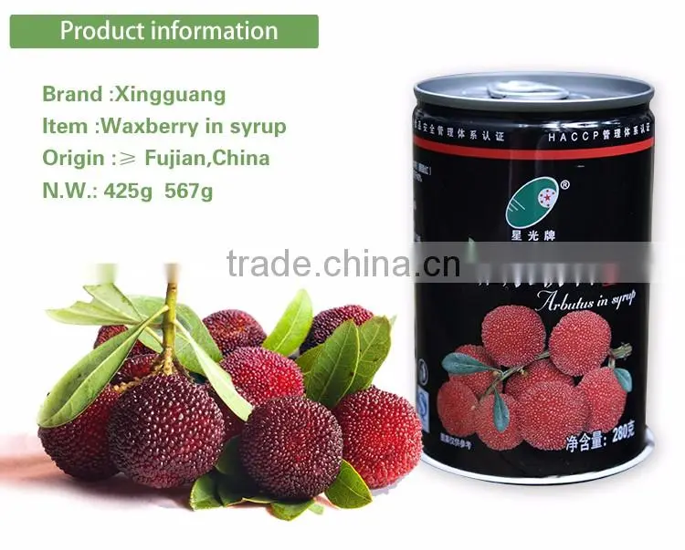 China's Famous canned waxberry