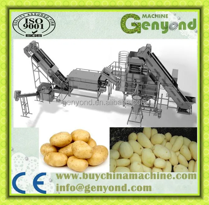 Factory Genyond Sweet Potato/ Onion/walnut/ Carrot Brush Washer Washing Machine Peeling Cleaning Machine