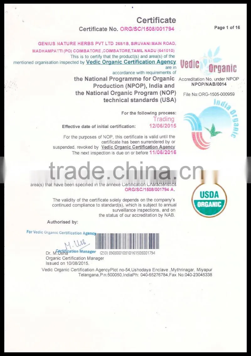 GMP Moringa Powder For Best Price