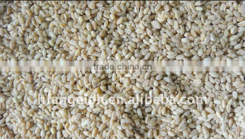 Wheat color sorter