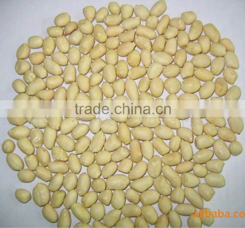 Best price blanched peanut kernel