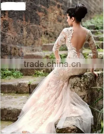 Champagne Vestido De Noiva Manga Longa Tulle Sexy V Neck Elegant Long Sleeve Wedding