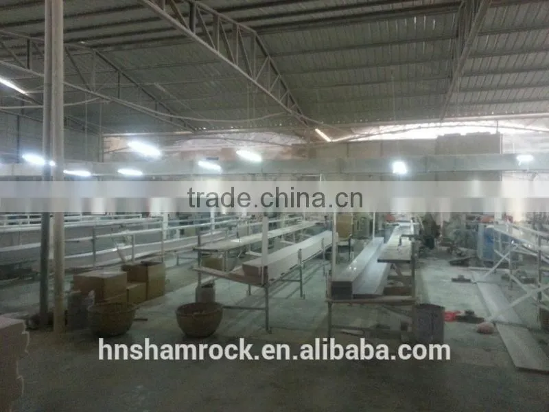 Hot selling PVC ceiling design for indoor decoration