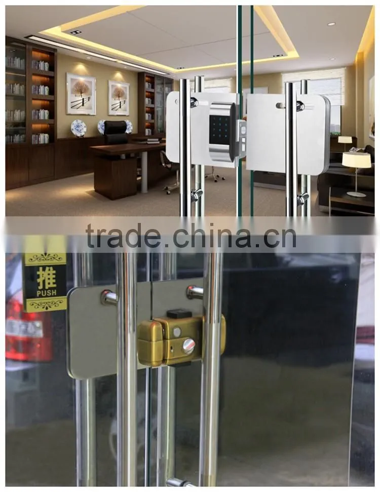 High security glass door (LY15CR2-11BM)
