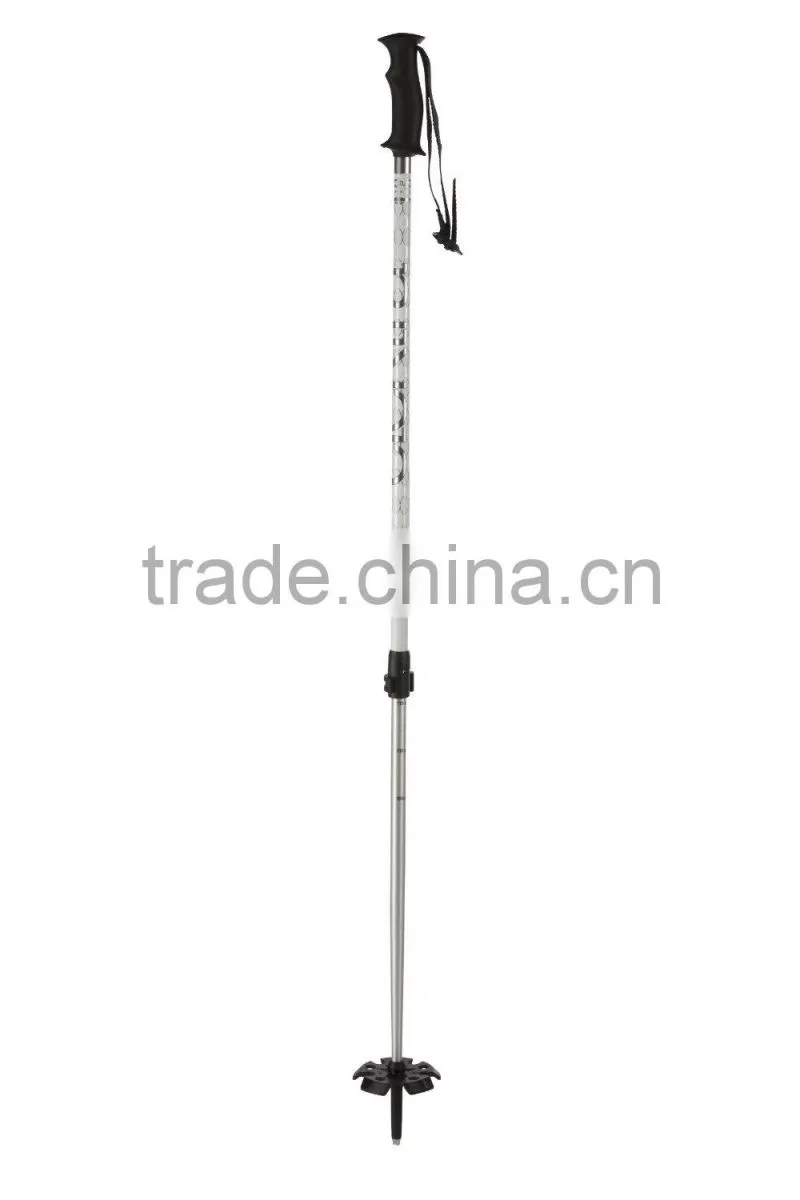 GS Approved One Section Aluminum6061 Ski Stick