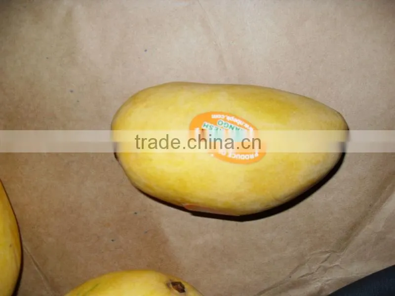 Fresh Mango from Pakistan with Approved EU Quality Standards