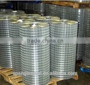 low price electro galvanized welded wire mesh made in China