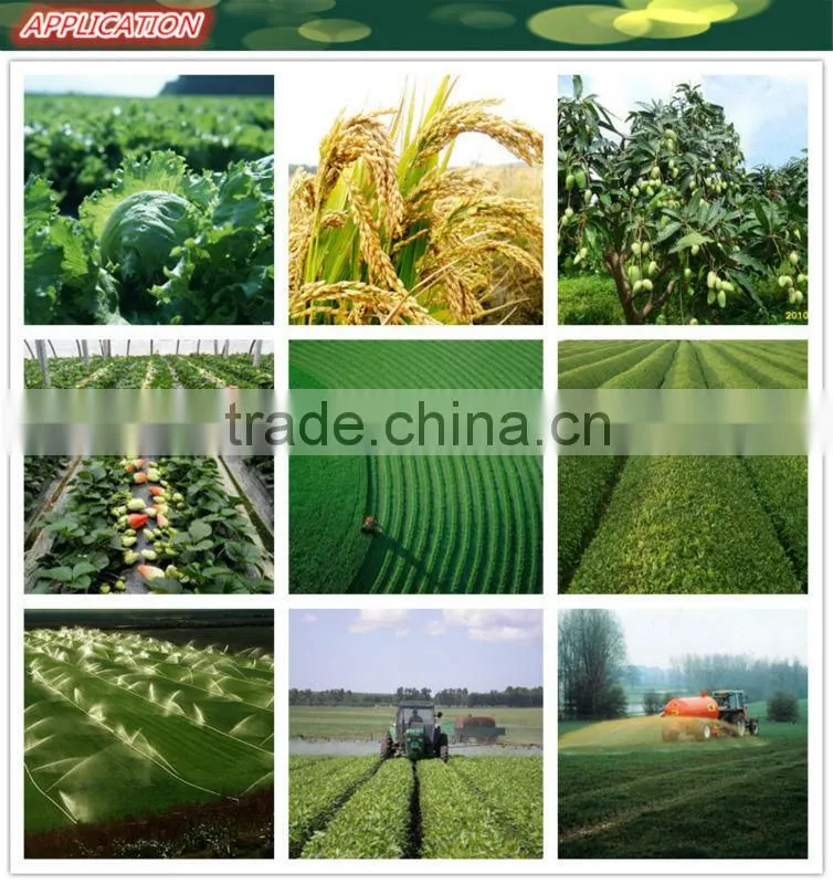 Huminrich Shenyang Blackgold Humate Organic Nitrogen In Mushroom