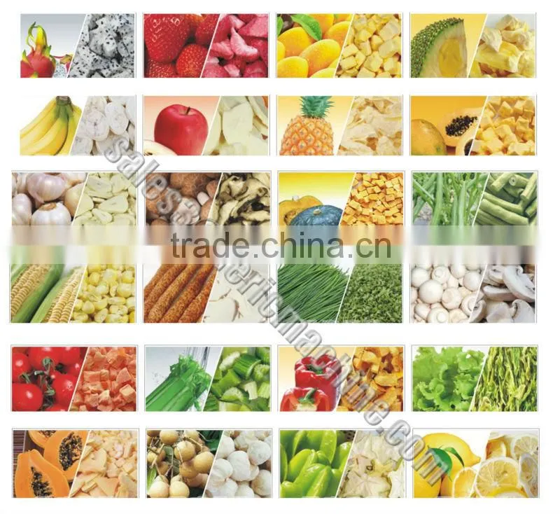 Freeze Dryer/Commercial lyophilizer