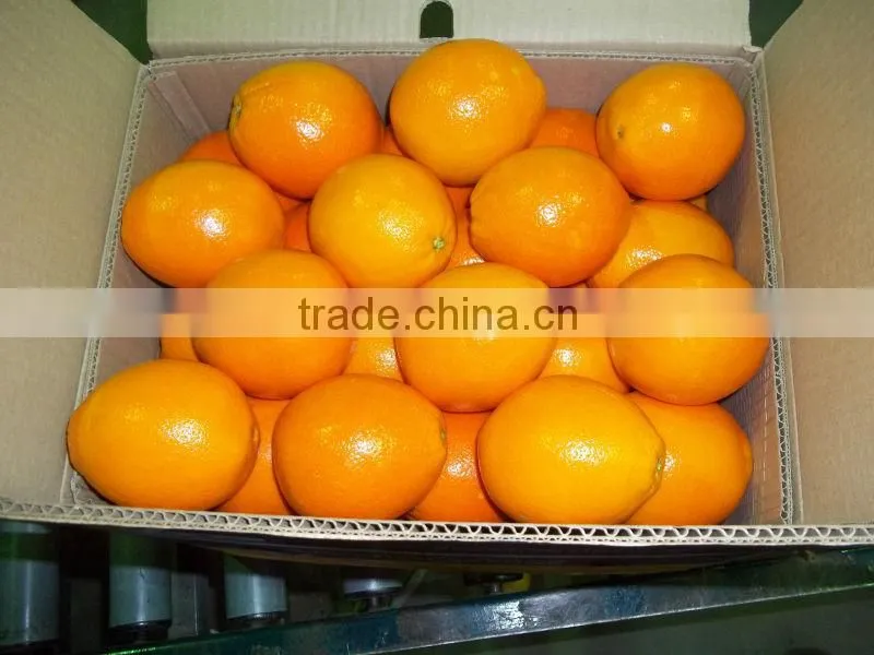 Fresh Valencia orange