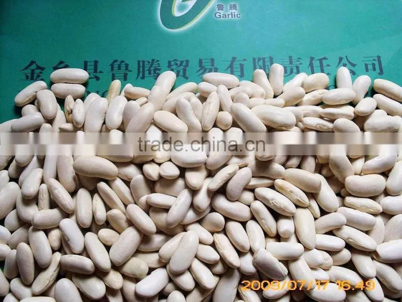 2014 different varieties of white kidney beans from China with cheap price