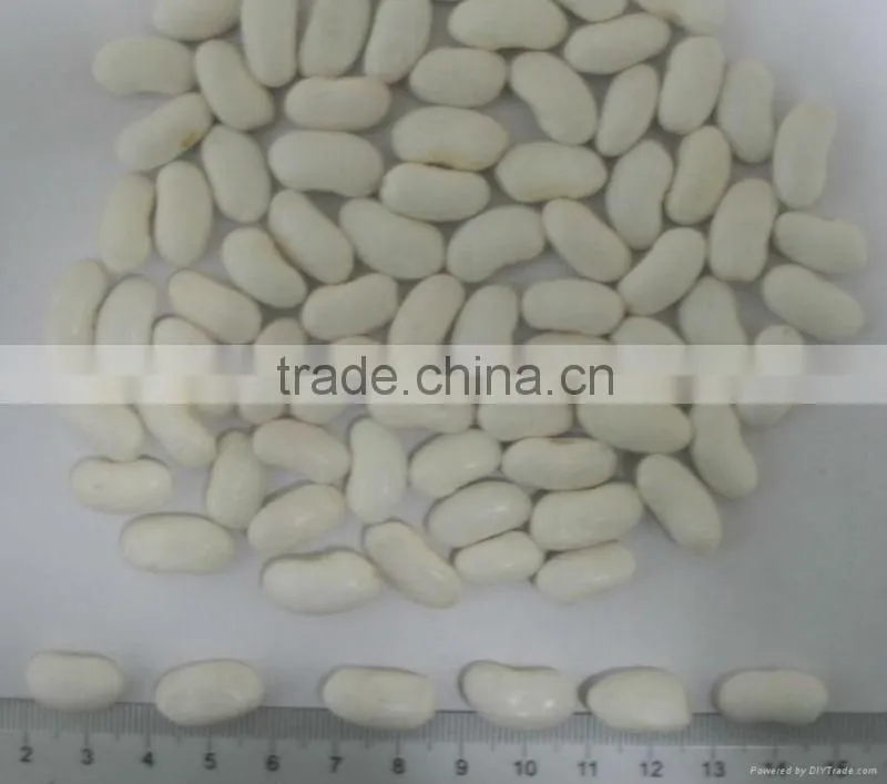 white kideny beans ( sizes 180-200 / 200-240/ 240-260)