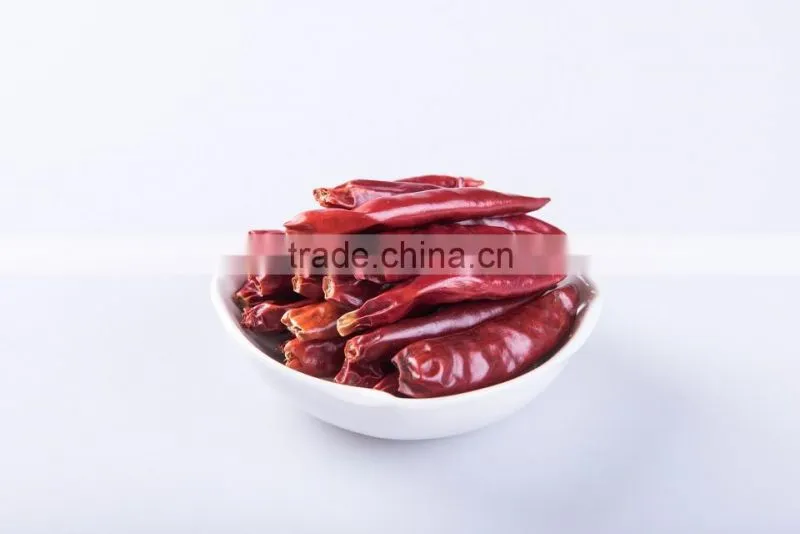 2015 Crop Dried Hot bullet Chili Pepper