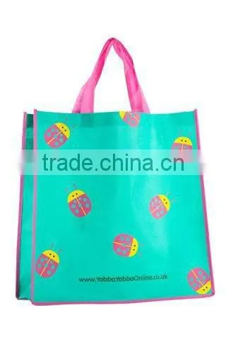 pp non-woven cooler bag