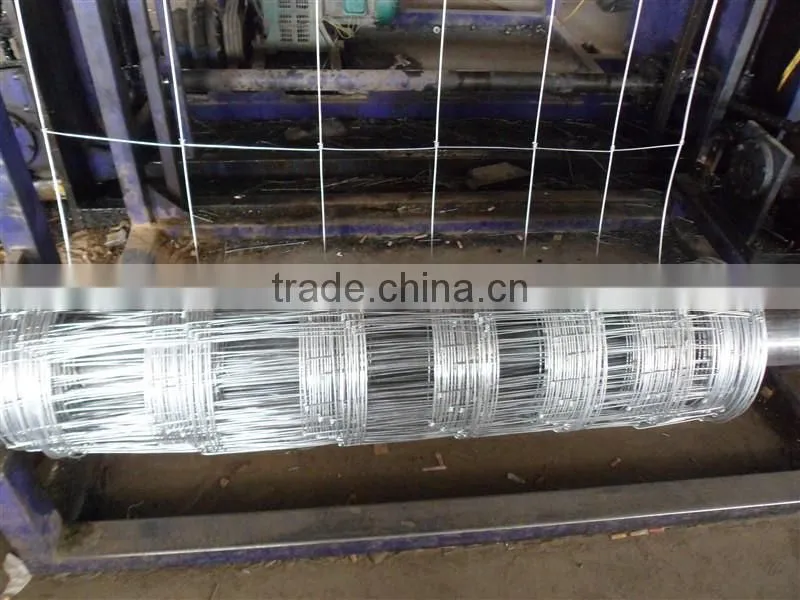 grassland field fence/ hot galvanzied hinge joint knotted animal field fencing factory