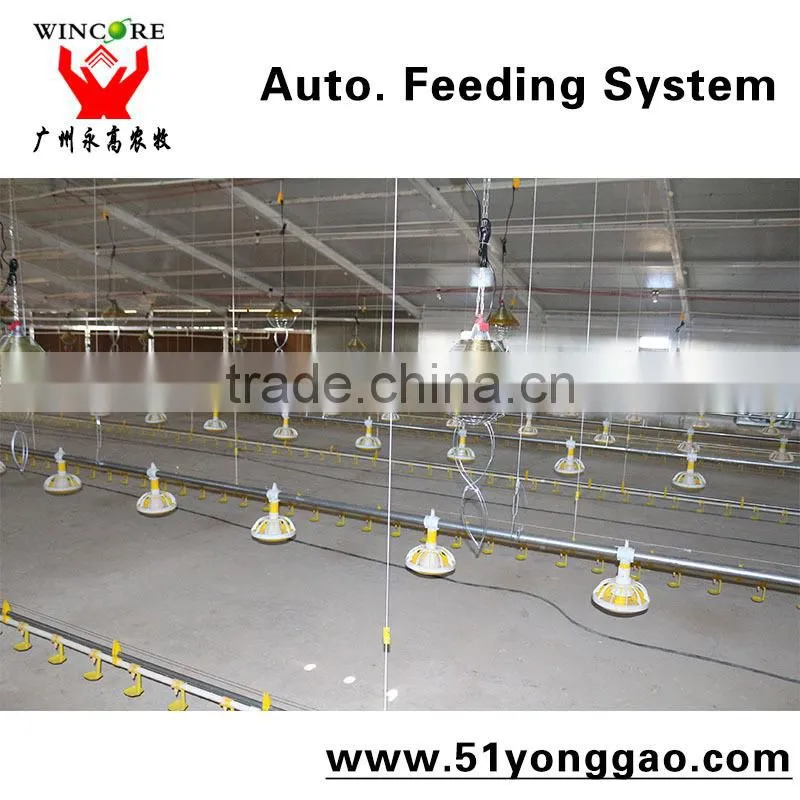 Automatic Poultry House Animal feeding line for broiler chicken Poultry equipment in Animal feeding system