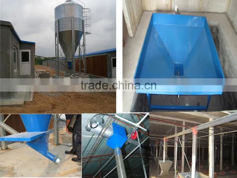 Automatic broiler poultry farm equipment