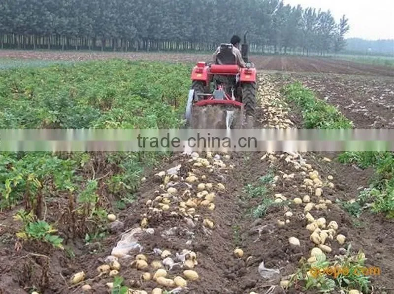 Research and development of manufacturers one row potato harvester/ cheap price mini potato harvester with walking tractor