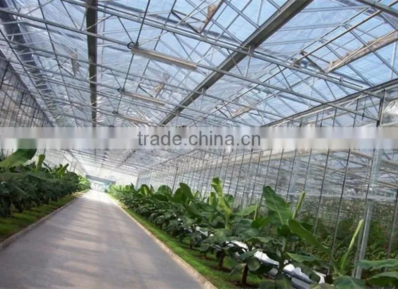 Good daylighting glasshouse big shed,greenhouse for agriculture,frp hothouses from alibaba suppliers
