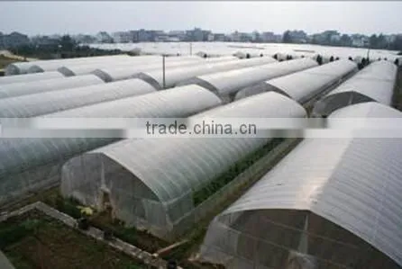 Greenhouse Tent