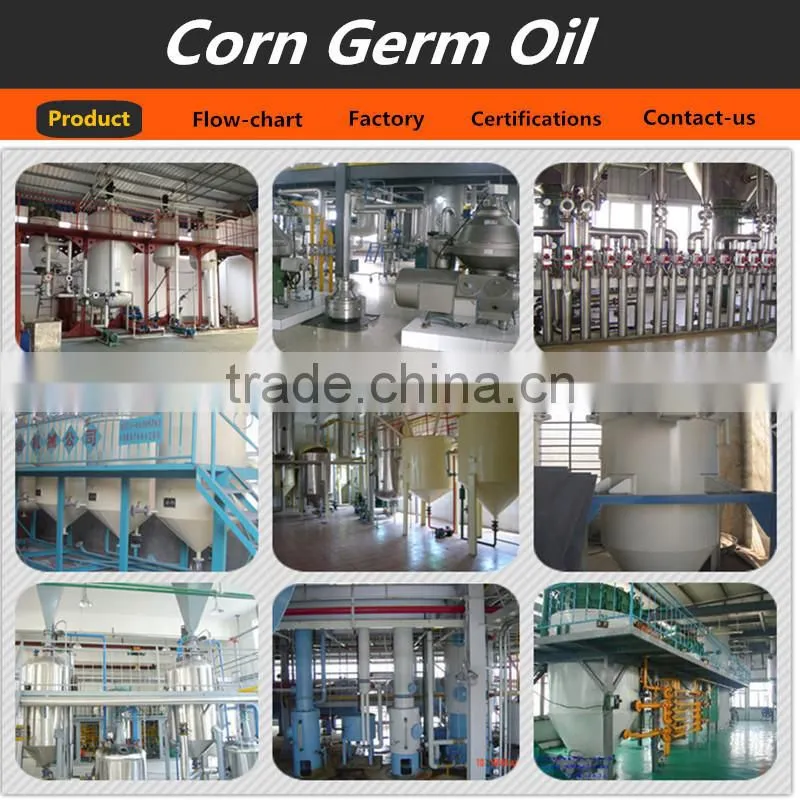 High efficient healthy corn oil extraction machine corn oil press machine price, corn oil machine