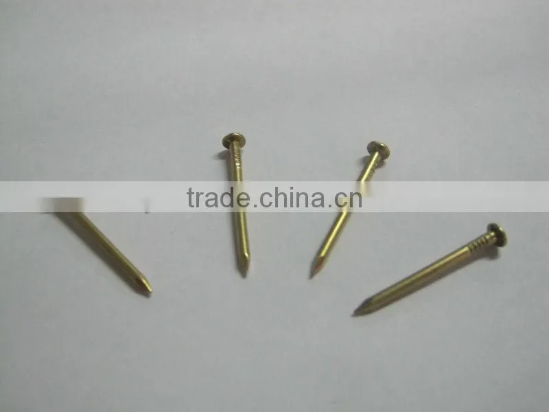 Antique smooth brass color iron nail,Copper nails