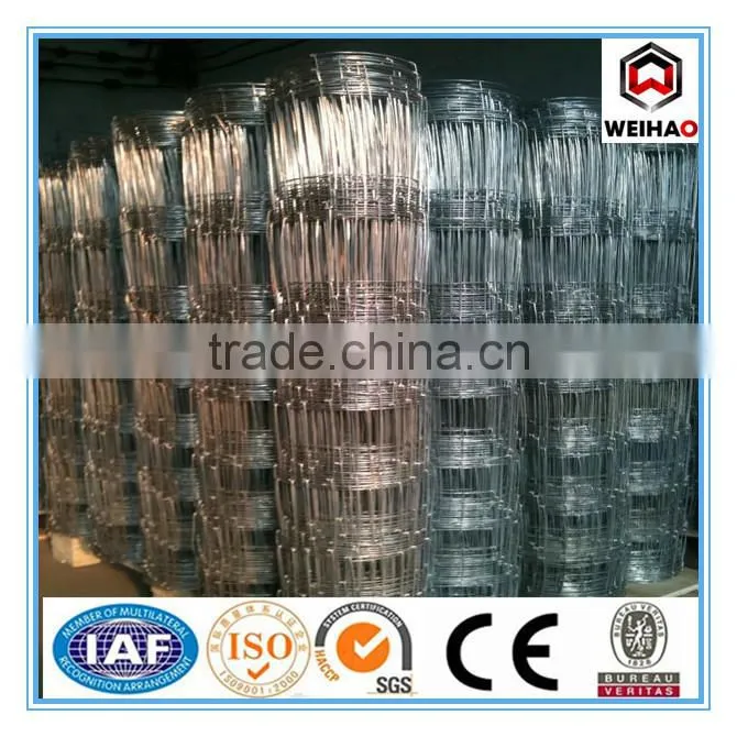High Quality Galvanized Calf Cattle Fence