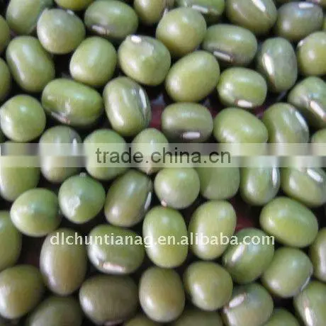 2011 green mung bean (organic )