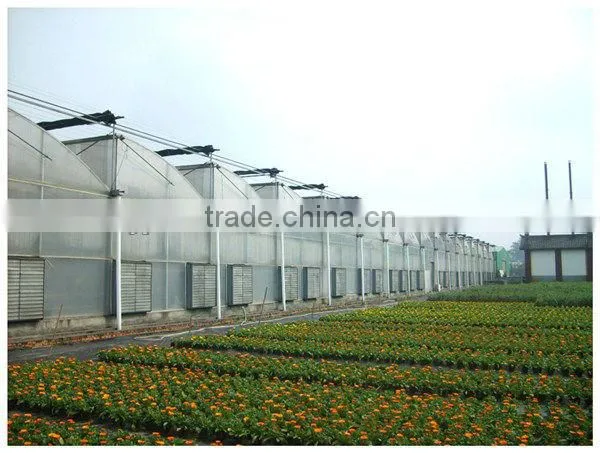 cheap poly greenhouse
