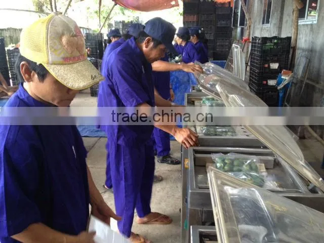 Fresh betel nut