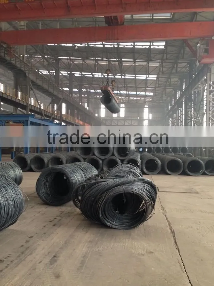 steel wire rod, wire rod. in coil SAE1006B SAE1008B low carbon 5.5MM