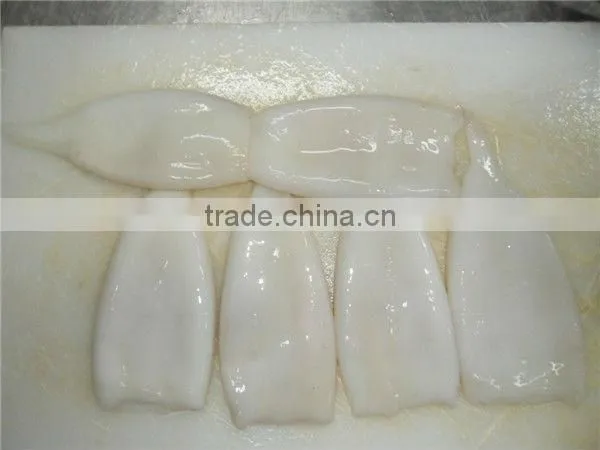 Frozen Japanese Squid Tube U3 U5 U7 U10