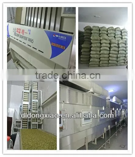 sunflower seed long type 5009