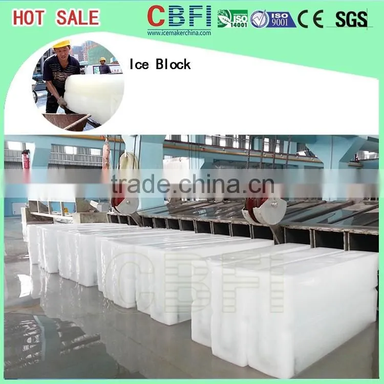 12 tons in Philipphines Block Ice Maker Machine Summer season power saving design