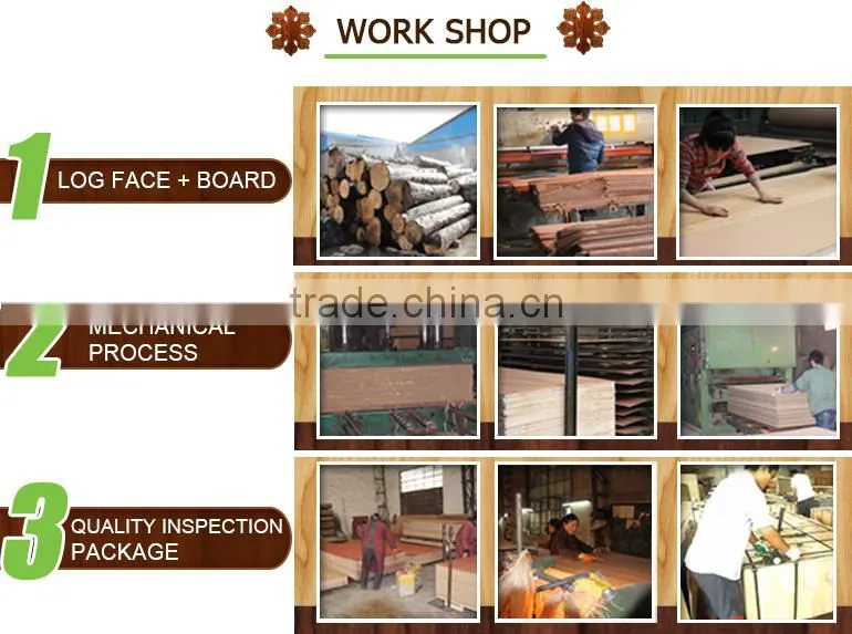 Multifunctional birch plywood
